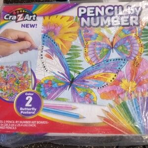 Cra-z-art Pencil by number butterfly pictures